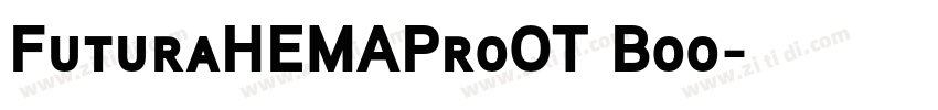 FuturaHEMAProOT Boo字体转换
